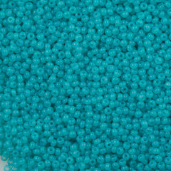 50g Czech Seed Bead 10/0 Alabaster Light Turquoise Solgel (02165)