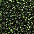Toho Round Seed Beads 6/0 Silver Lined Transparent Moss 2.5-inch tube (37)