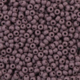 Czech Seed Bead 8/0 Amethyst Matte AB 2-inch Tube (21060M)