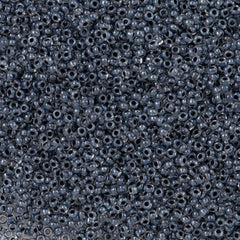 Czech Seed Bead 11/0 Crystal Black Copper Lined 50g (38149)