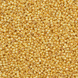 50g Toho Round Seed Bead 11/0 PermaFinish Galvanized Starlight (557PF)