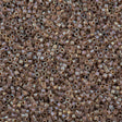 25g Miyuki Delica Seed Bead 11/0 Inside Dyed Color Silverberry DB1749