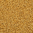 Czech Seed Bead 8/0 Metallic Gold 2-inch Tube (18581)