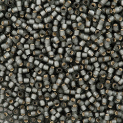 50g Toho Round Seed Bead 8/0 Silver Lined Transparent Matte Gray (29BF)