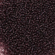 Czech Seed Bead 11/0 Transparent Amethyst (20060)