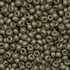 Miyuki Round Seed Bead 8/0 Duracoat Galvanized Matte Light Pewter 22g Tube (4221F)