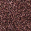 Miyuki Round Seed Bead 11/0 Matte Silver Lined Dark Amethyst 22g Tube (13F)