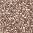 Miyuki Round Seed Bead 8/0 Inside Color Lined Mocha 22g Tube (215)