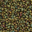 Miyuki Long Drop Seed Bead Opaque Matte Olive Rose 24g Tube (2035)