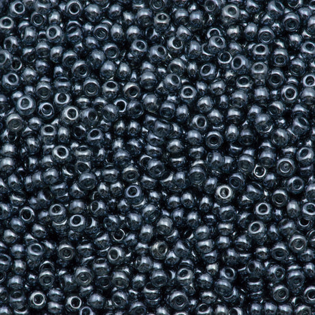 50g Czech Seed Bead 10/0 Transparent Black Diamond Luster (46010)