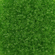 25G Miyuki Delica Seed Bead 11/0 Transparent Apple Green DB1106