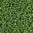 Miyuki Delica Seed Bead 11/0 Inside Dyed Color Green Tea White 2-inch Tube DB1786