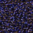 25g Miyuki Delica seed bead 11/0 Silver Lined Dyed Dark Purple DB609