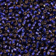 100g Miyuki Delica seed bead 11/0 Silver Lined Dyed Dark Purple DB609