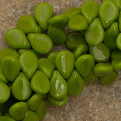 65 Preciosa Pip Opaque Olive Beads (53420)