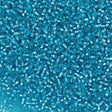 Czech Seed Bead 10/0 Silver Lined Aqua (67010)