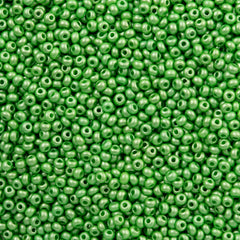 50g Czech Seed Bead 10/0 Dyed Shiny Green (23530)
