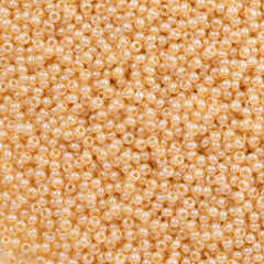 50g Czech Seed Bead 10/0 Opaque Pearl Ivory (47185)