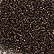Preciosa Czech Seed Bead 11/0 Transparent Copper Lined Black Crystal (49010)