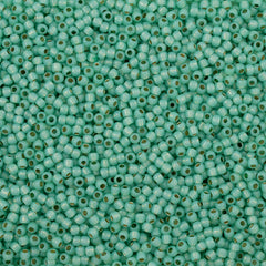50g Toho Round Seed Bead 6/0 PermaFinish Translucent Silver Lined Peridot (2103PF)