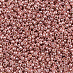 8g Miyuki Round Seed Bead 11/0 Duracoat Galvanized Dark Coral (4209)