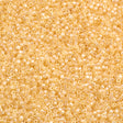 Miyuki Delica Seed Bead 11/0 Crystal Glazed Luster Champagne 2-inch Tube DB1478