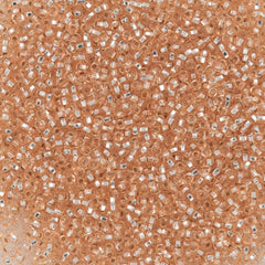 Czech Seed Bead 11/0 Champagne Silver Lined 50g (08288)