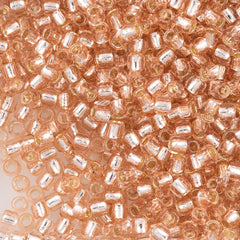 Toho Round Seed Beads 6/0 Silver Lined Champagne 2.5-inch tube (31)